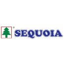 Sequoia